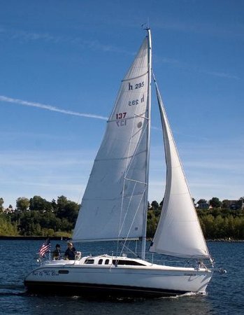 let-s-go-sailing-802